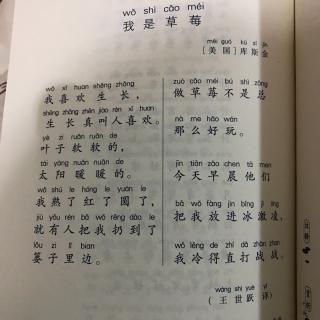 我是草莓 kiki诵