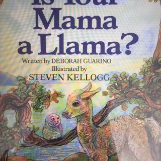 S2Day75-20170413-Is Your Mama a Llama