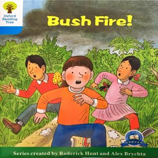 DD 5-5 Bush fire!