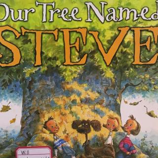 our tree named Steve