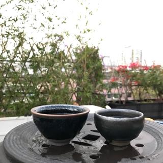 茶言观色一杯茶的故事