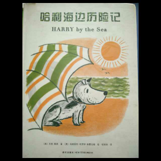 143-《哈利海边历险记》