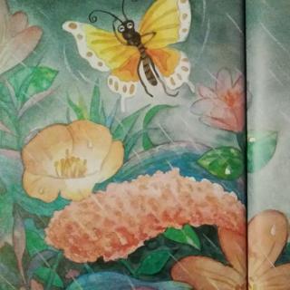 【微童话】蝴蝶与花儿