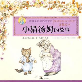 《小猫汤姆的故事》