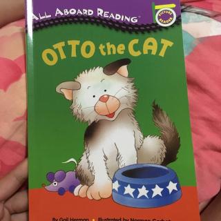 Otto The Cat