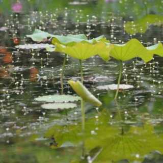 《雨声说些什么？》 余光中