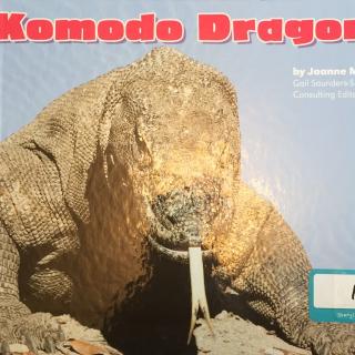 Komodo dragons20170409