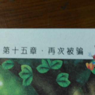 第十五章  再次被骗