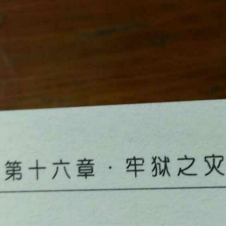 第十六章  监狱之灾