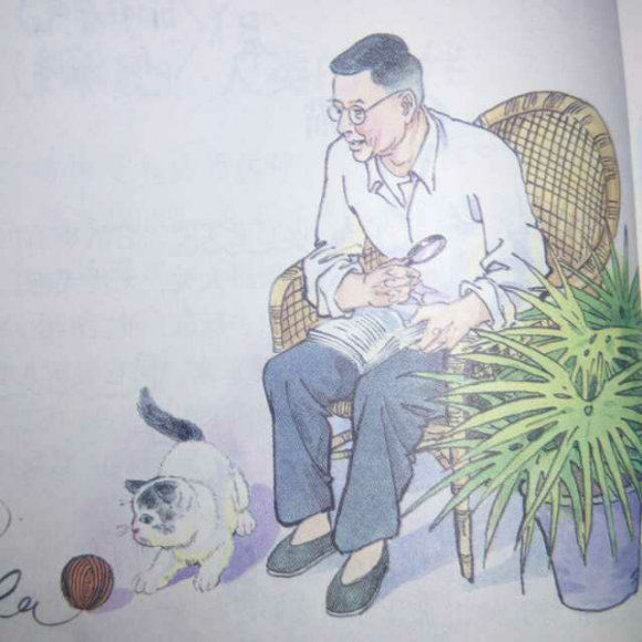 《猫》