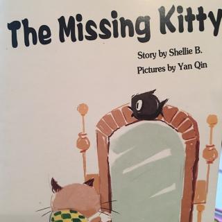 The Missing Kitty