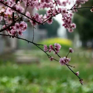 藏一枚朱印，缄封思念