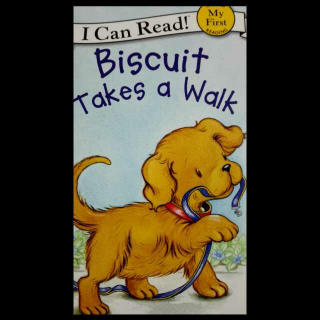 117.Biscuit takes a walk