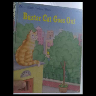 Buster cat goes out.