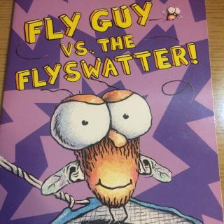 中英文版 苍蝇小子和苍蝇拍 Fly Guy vs. Fly Swatter