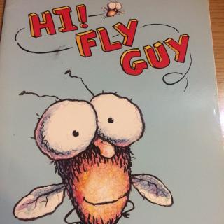 Hi！Fly guy