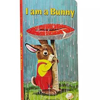 I am a bunny-苗苗老师