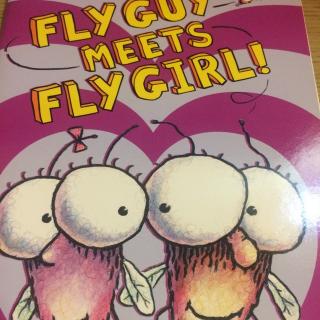 Fly Guy Meets Fly Girl 苍蝇小子遇见苍蝇姑娘
