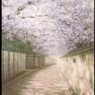 名作赏析：余秋雨《生命是一树花开》，主播：如影随形