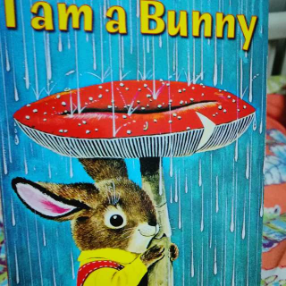 I  am    a    Bunny.