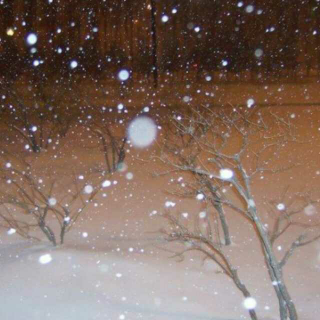 《别踩疼了雪》 朱成玉