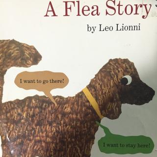 A flea story（四阶）