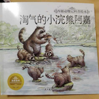 淘气的小浣熊阿嘉🐻（上）