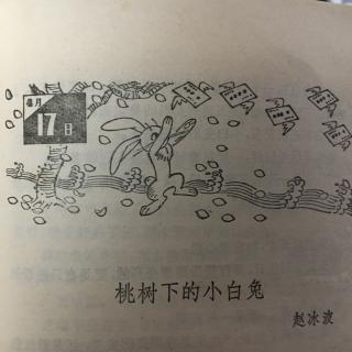 【365夜故事】桃树下的小白兔