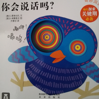 奇妙洞洞书系列《你会说话吗？》