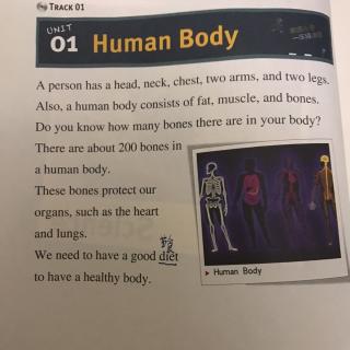 Human Body