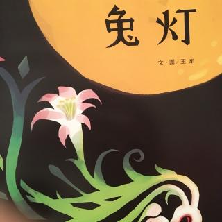中文绘本《兔灯》🐰王东