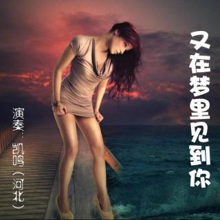 好听的流行歌曲《又在梦里见到你》口哨版