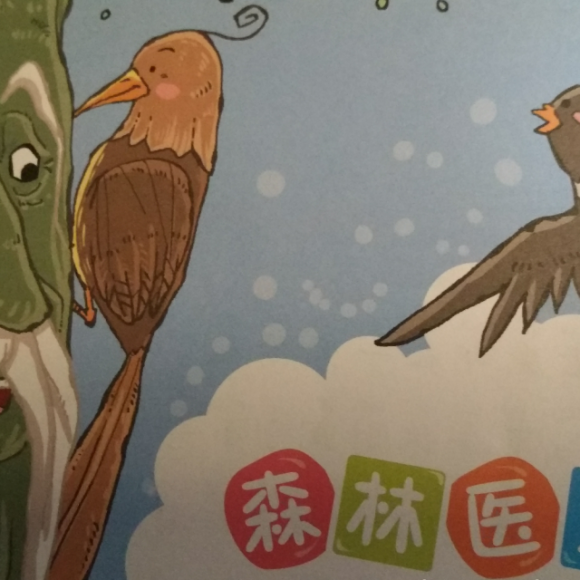 睡前小道理(森林医生啄木鸟)