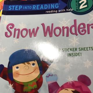 S2-Snow Wonder-20170419