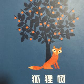 雁子妈妈讲故事《狐狸树🌲》