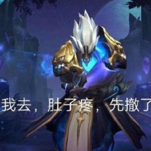 王者荣誉坑货学说