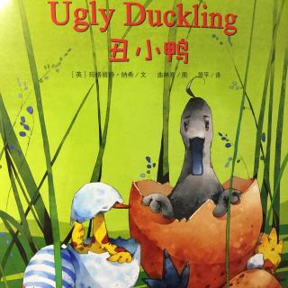 No.58 The Ugly Duckling