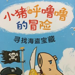 寻找海盗宝藏