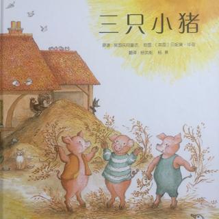 3⃣️只小猪🐷🐷🐷