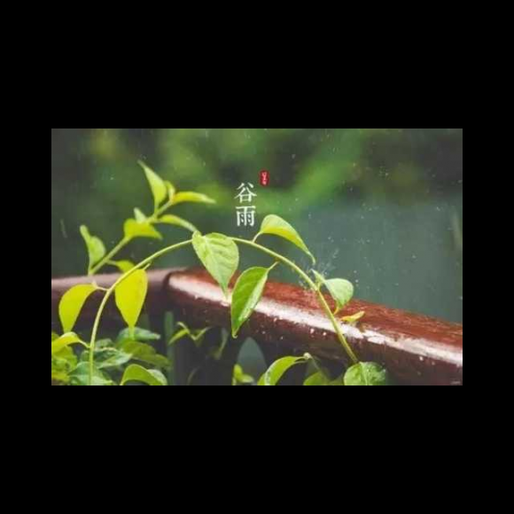 古詩詞賞析—《穀雨》鄭板橋