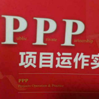 《ppp实操》（ 大型PPP项目,社会资本有哪些组合方案?）