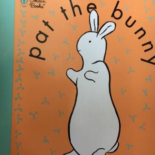 Pat the bunny
