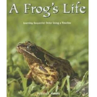 英文绘本~青蛙的一生