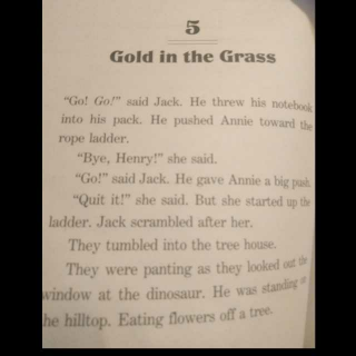 05.Gold in the grass