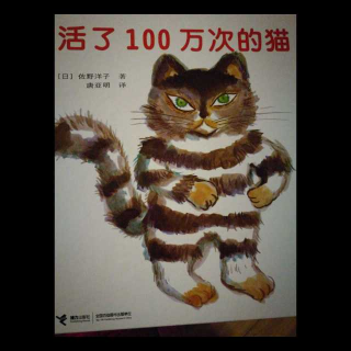 活了100万次的猫