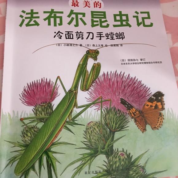 法布尔昆虫记～螳螂