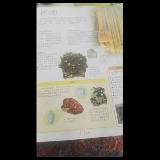 儿童百科全书39页