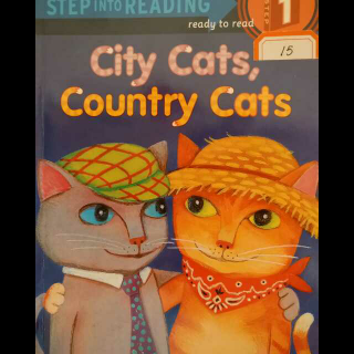 兰登1阶city cats, country cats