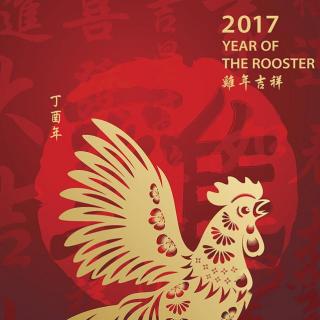 2017春节特辑（上）