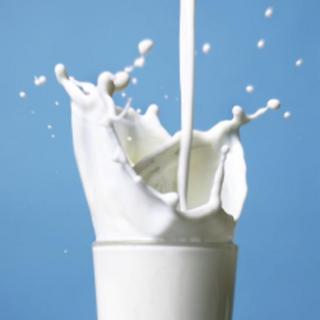 How Milk Goes Down Around the World  牛奶，你适合喝吗？